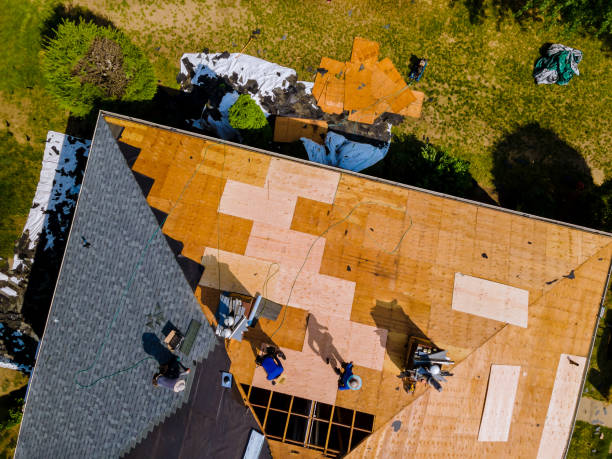 Best Storm Damage Roof Repair  in Leetonia, OH