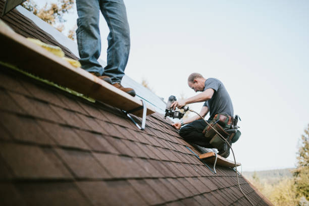 Best Gutter Installation and Roofing  in Leetonia, OH